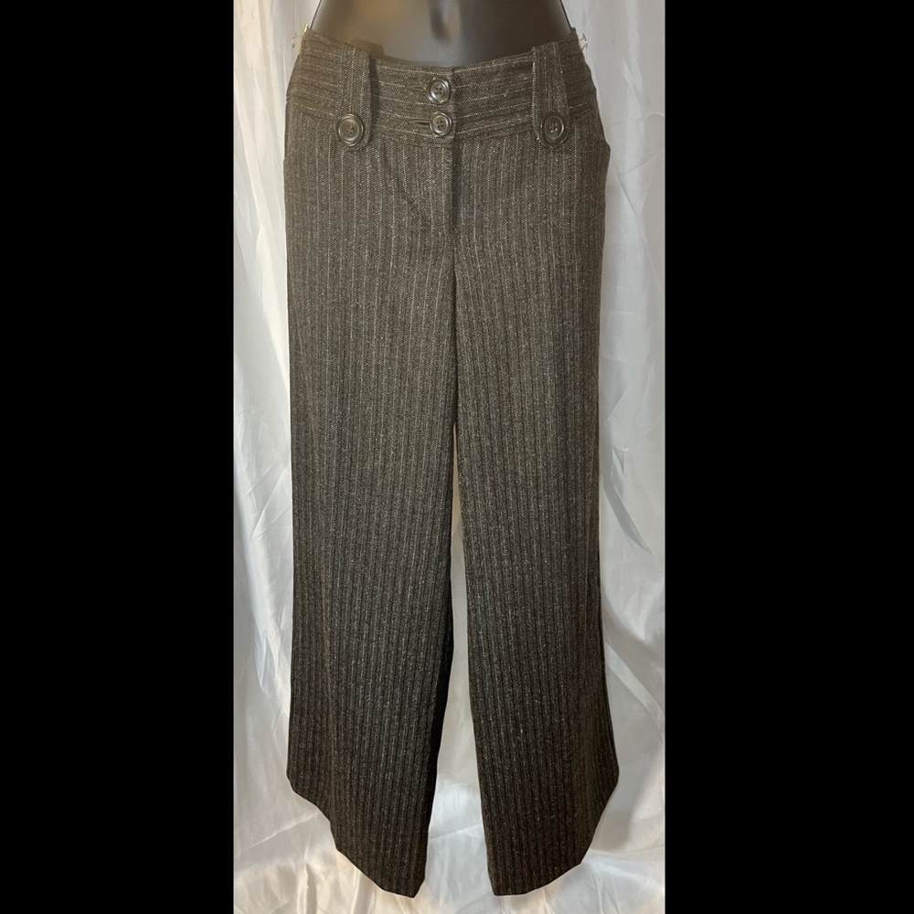 Express Design Studio Editor Pants